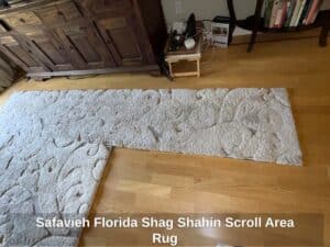 Safavieh-Florida-Shag-Shahin-Scroll-Area-Rug