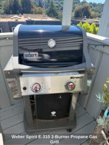 Weber-Spirit-E-Burner-Propane-Gas-Grill