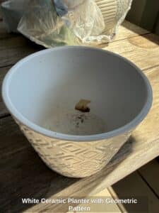 White-Ceramic-Planter-with-Geometric-Pattern