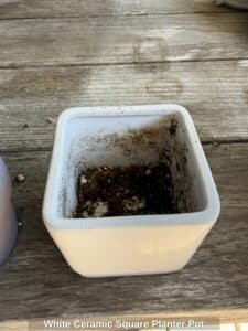 White-Ceramic-Square-Planter-Pot