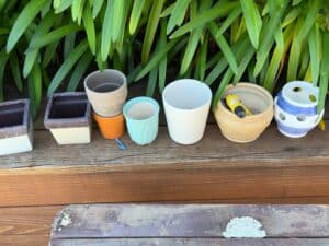 Assorted-Ceramic-and-Terracotta-Planters