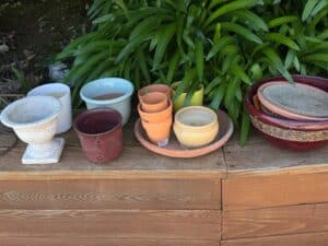Assorted-Ceramic-and-Terracotta-Planters-second-image