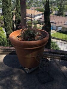 Large-Terracotta-Planter-Pot