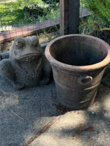 Terracotta-Frog-Statue-and-Planter-Pot