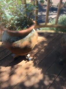 Terracotta-Planter-Pot-with-Rose-Bush