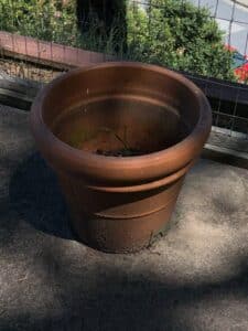 Terracotta-Rolled-Rim-Planter-Pot