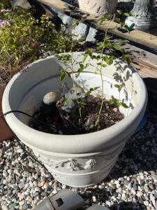 Decorative-Stone-Planter-with-Squirrel-Figurine