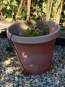 Plastic-Terracotta-Style-Planter-with-Rim