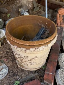 Terracotta-Planter-with-Embossed-Floral-Design