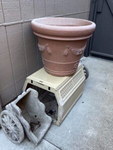 Terracotta-Planter-with-Floral-Swag-and-Rolled-Rim