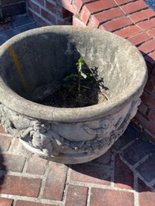 Vintage-Henri-Studio-Concrete-Cherub-Planter