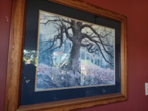 Must Have it in Maryville Blue Moon Estate Sale