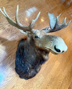 Talk of the Town in Townsend Blue Moon Estate Sale