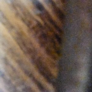 20260928_154103