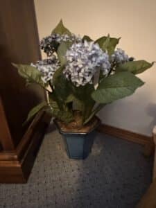 Artificial-Hydrangea-Plant-in-Blue-Ceramic-Pot