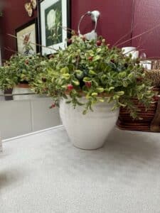 Faux-Berry-and-Leaf-Arrangement-in-White-Ceramic-Pot