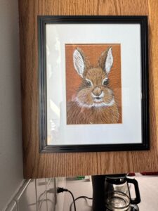 Framed-Rabbit-Illustration-Colored-Pencil-Drawing