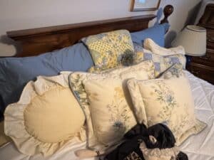 Laura-Ashley-Cassidy-Floral-and-Gingham-Decorative-Pillows-Set