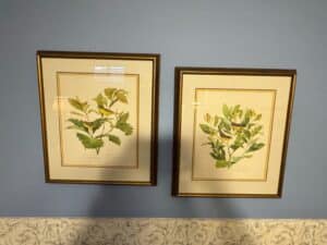 Pair-of-Framed-Botanical-Bird-Prints-Golden-winged-Warbler-and-Cape-May-Warbler