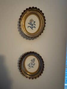 Pair-of-Oval-Giltwood-Framed-Botanical-Prints