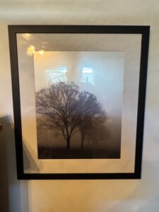Richard-Calvo-Awakening-Black-and-White-Tree-Landscape-Photograph
