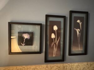 Set-of-Three-Framed-Botanical-X-Ray-Prints