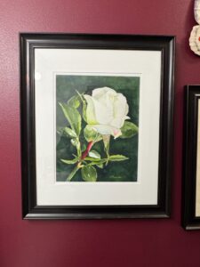 White-Rose-Watercolor-Painting