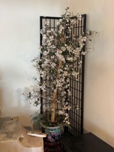 IMG_0230