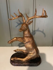 IMG_2370