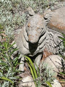 IMG_2591