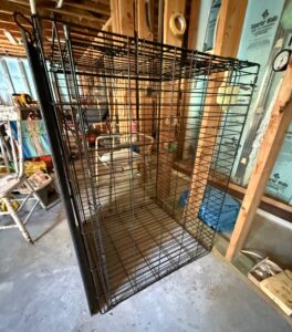 IMG_0255