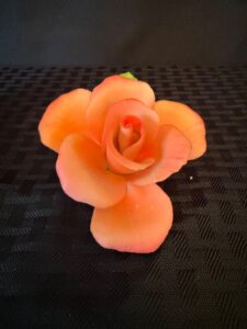 IMG_0689