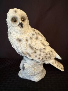 IMG_0706