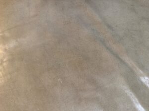 IMG_0992