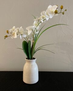 IMG_5263