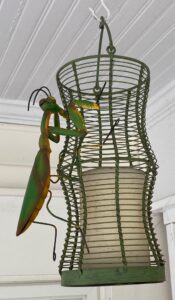 IMG_8070-1