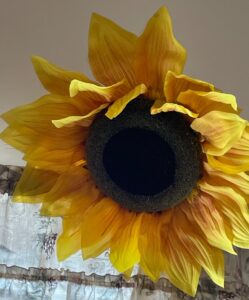 IMG_1319
