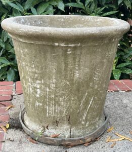 IMG_3578