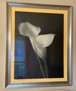IMG_3642