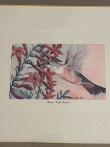 IMG_3673