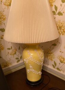 IMG_9810