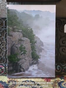 Great-Falls-of-the-Potomac-River-Landscape-Canvas-Print