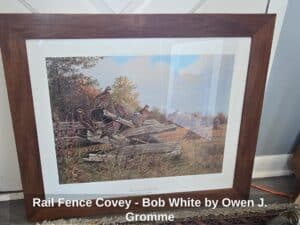 Rail-Fence-Covey-Bob-White-by-Owen-J.-Gromme