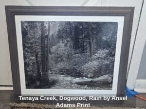 Tenaya-Creek-Dogwood-Rain-by-Ansel-Adams-Print