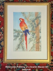 Watercolor-Painting-of-a-Scarlet-Macaw-by-Deborah-B