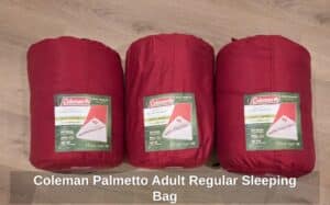 Coleman-Palmetto-Adult-Regular-Sleeping-Bag