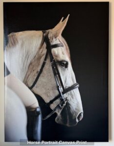 Horse-Portrait-Canvas-Print