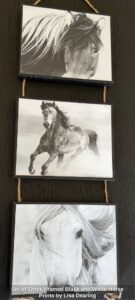 Set-of-Three-Framed-Black-and-White-Horse-Prints-by-Lisa-Dearing