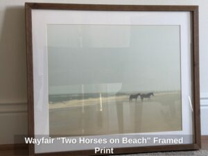 Wayfair-Two-Horses-on-Beach-Framed-Print