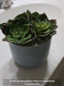 Artificial-Succulent-Plant-in-Speckled-Ceramic-Pot